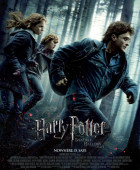 Harry Potter and the Deathly Hallows Part 1