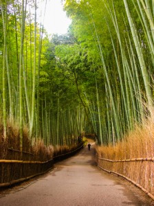 bamboo_forest_path_kyoto 